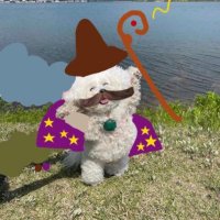 Swiss Duck (@duckyswiss) 's Twitter Profile Photo Swiss Duck (@duckyswiss) 's Twitter Profile Photo