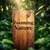 Zooming nature (@zooomingnature) Twitter profile photo Zooming nature (@zooomingnature) Twitter profile photo