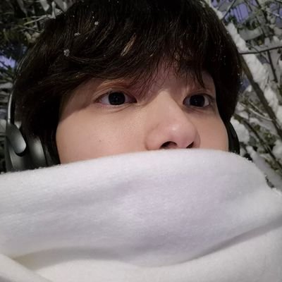 @snowbinn