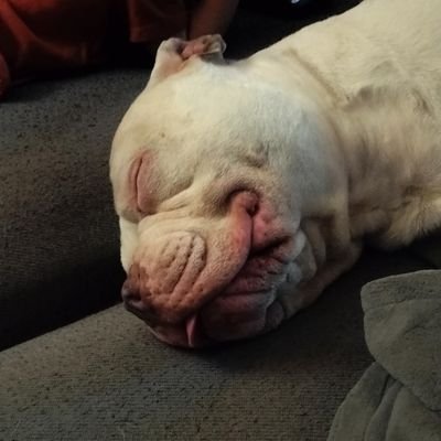 DHughes303's profile picture. 303 born and raised. 80s baby. 90s product. Never forget who you are and where you come from.