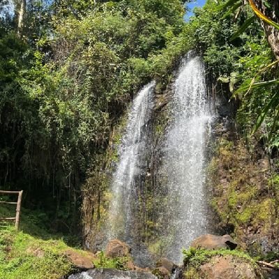 Krypton_Inc's profile picture. 