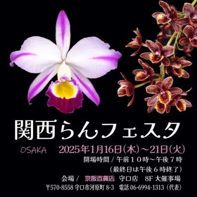 関西らんフェスタの公式Xです。