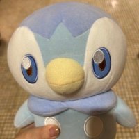 ネキ (@poke_nekineki) 's Twitter Profile Photo
