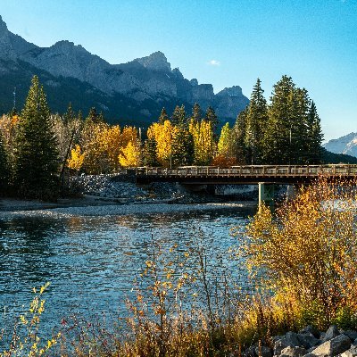 AYlmak91275's profile picture. 