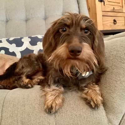 EixoPT's profile picture. 