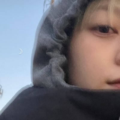 hitoguko's profile picture. とうきょう↔︎カナダ(Since2023