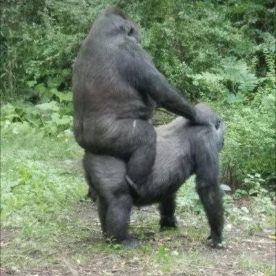 SikedCrpyto's profile picture. mind on my money and my money on mind