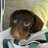 tuberose57's profile image