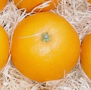 ojojoscorpio's profile picture. 紙とデジタル　✺ Chi舎 ✺（チシャ）
各種デザイン承ります。
ハンドメイドでチャーム・キーホルダー・
アクセサリーなど作ります。
可愛い物がこの世に生まれる瞬間がたまらなく愛しい。
あなたと一緒にめちゃくちゃ考えます！
運転しながら熱唱します。
SUNABACO　やつしろ9th