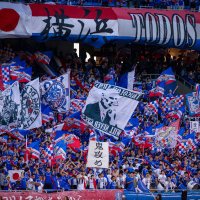 トリコロール (@ltz_lz) 's Twitter Profile