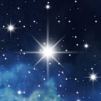 Margit (@margit79580654) 's Twitter Profile Photo