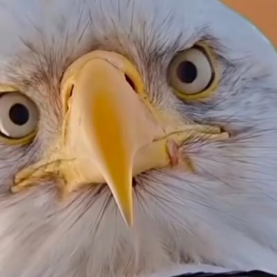 ballanddoors's profile picture. Shine the light on me , and I’ll tell you my story !