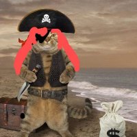 no me toques el conejo (@conejada007) 's Twitter Profile