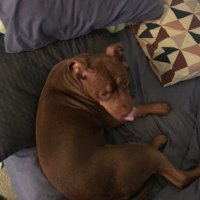 EMG (@snatchmaster9) 's Twitter Profile