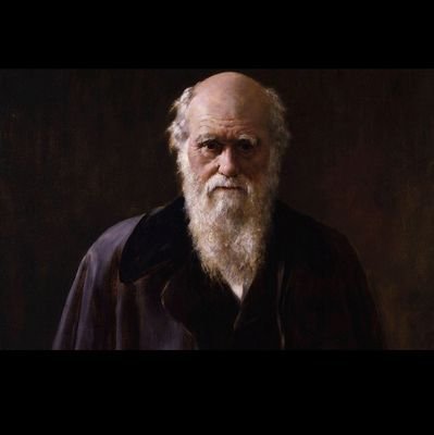 giftedchild111's profile picture. 