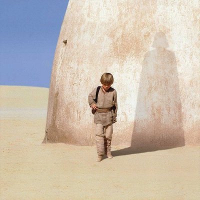 caesarofwallst's profile picture. Why do we fall?