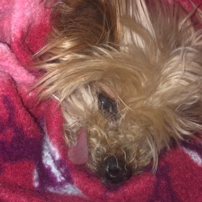 ca17150892's profile picture. 
