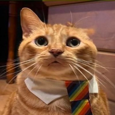 zvn_ofc's profile picture. 