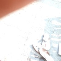 रुद्र (@harharmahadevsa) 's Twitter Profile
