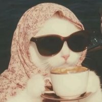Viola (@ladyviolettt) 's Twitter Profile Photo Viola (@ladyviolettt) 's Twitter Profile Photo