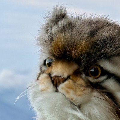 erotomanique's profile picture. アニメ実況用に流用されたアカウントですが、たまに研究者稼業・翻訳屋さんの、しかし表のアカウントではやりにくいメモが入ることがあります