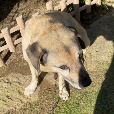 Tonさんのプロフィール画像