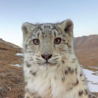 PaintedParadox (@painted_paradox) 's Twitter Profile