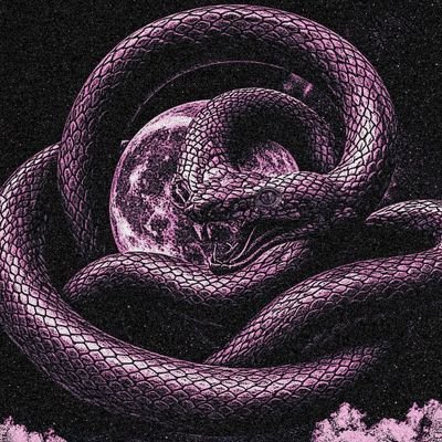 FURIOSAさんのプロフィール画像