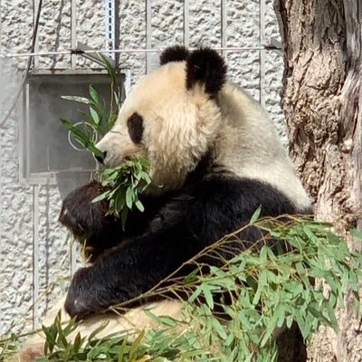 EriPetrichor's profile picture. 