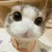 Jon_Jon (@jon_rbuckle) Twitter profile photo