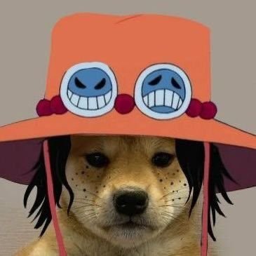 Sengo Profile