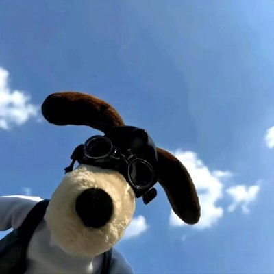 0xDawn66's profile picture. Web3 1000x Gem Hand