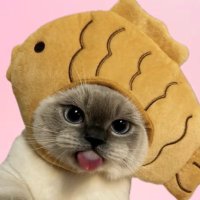 Sori (@sound_of_beau) 's Twitter Profile