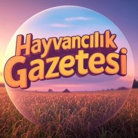 Hayvancılık Haber Gazetesi (@hayvancilikgzt) 's Twitter Profile Photo Hayvancılık Haber Gazetesi (@hayvancilikgzt) 's Twitter Profile Photo