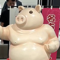 しか(やきやきヤンキー2代々木待ち) (@shikazuyuky) 's Twitter Profile
