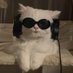 ็ฝ (@its_all_white_) Twitter profile photo ็ฝ (@its_all_white_) Twitter profile photo