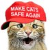 Ultra Cat (@mrtruth_199) Twitter profile photo Ultra Cat (@mrtruth_199) Twitter profile photo