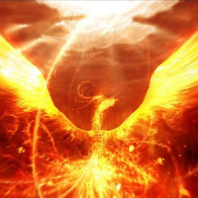 raphael_santore's profile picture. 