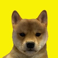 NOHAT (@nohatsolana) 's Twitter Profile Photo NOHAT (@nohatsolana) 's Twitter Profile Photo