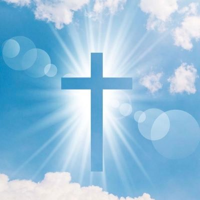 johnjason295021's profile picture. 