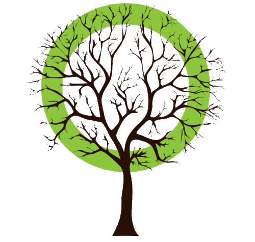 The Urban Tree Alliance wishes to preserve and grow the urban forest canopy in a sustainable and innovative manner while educating the public.