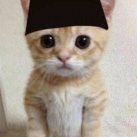 Zodiac (@yumcrypto) 's Twitter Profile Photo
