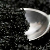 Orhan (@orhan10417737) Twitter profile photo