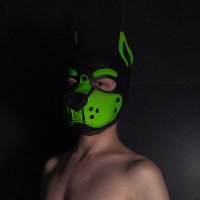 Puppy kiran (@sinaebnit) 's Twitter Profile Photo