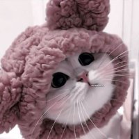 REST연이ᡣ𐭩 (@im_shiningstar) 's Twitter Profile