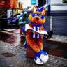 ConkerCaptain's profile picture. official mascot of Kilmarnock FC