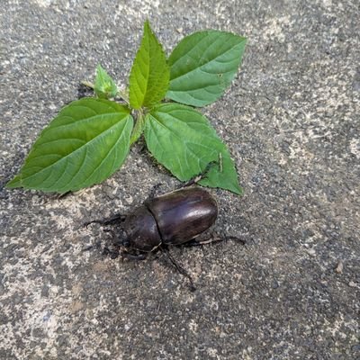 Springishere328's profile picture. 