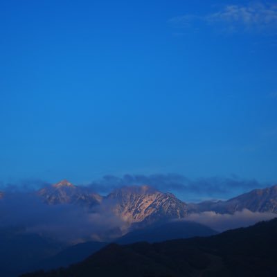跳ねます。