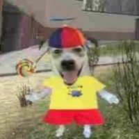 Carn (@carn1ta) 's Twitter Profile