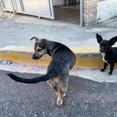 benaddnj's profile picture. me